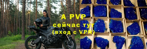 PSILOCYBIN Новозыбков