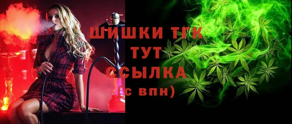 спиды Новокубанск