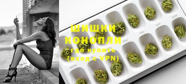 PSILOCYBIN Новозыбков